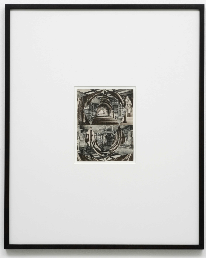 Daniel Andersson, Ohne Titel